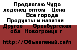 Предлагаю Чудо леденец оптом › Цена ­ 200 - Все города Продукты и напитки » Другое   . Оренбургская обл.,Новотроицк г.